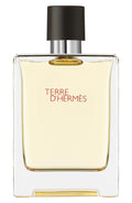 Inspired by Terre d'Hermès – 100ml Eau de Toilette