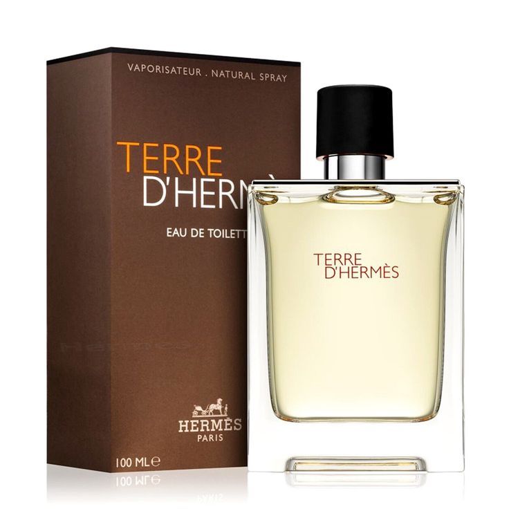 Inspired by Terre d'Hermès – 100ml Eau de Toilette